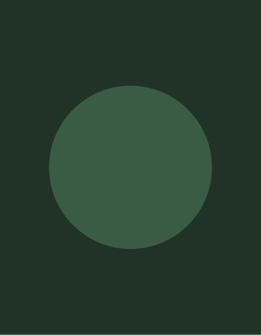 studiopicante_uci_col26_12